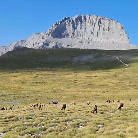 Appartamento Αθηνα A7 Kateríni Esterno foto